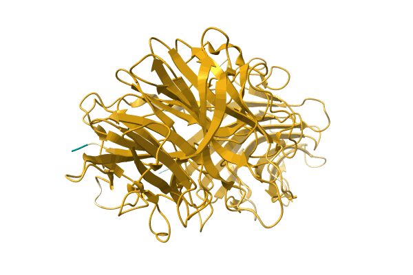 AF-A0A0Q9MGF2-F1 image