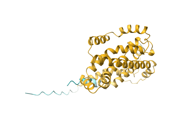 AF-A0A0Q9MH68-F1 image