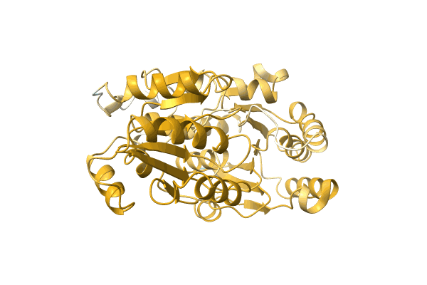 AF-A0A0Q9NB83-F1 image