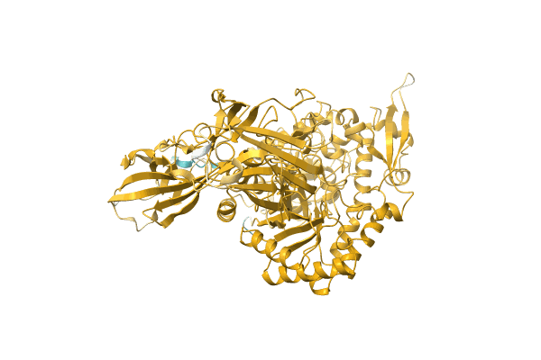 AF-A0A0Q9NBM6-F1 image