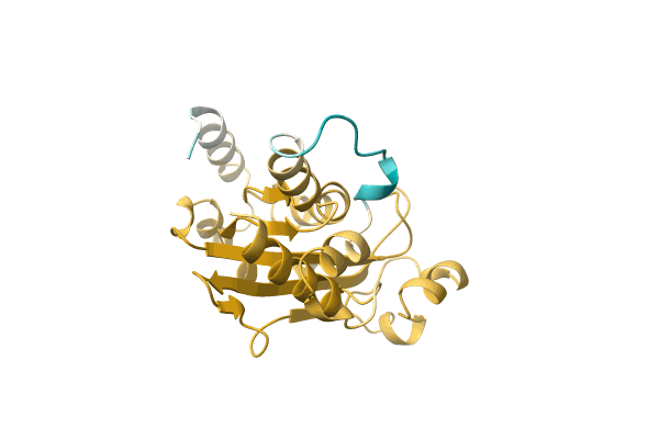 AF-A0A0Q9ZYH2-F1 image