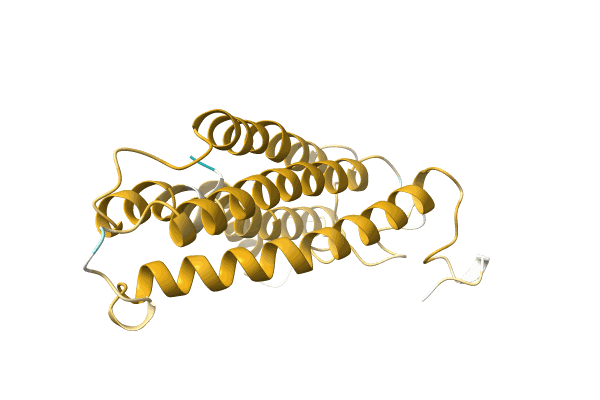 AF-A0A0R5J895-F1 image