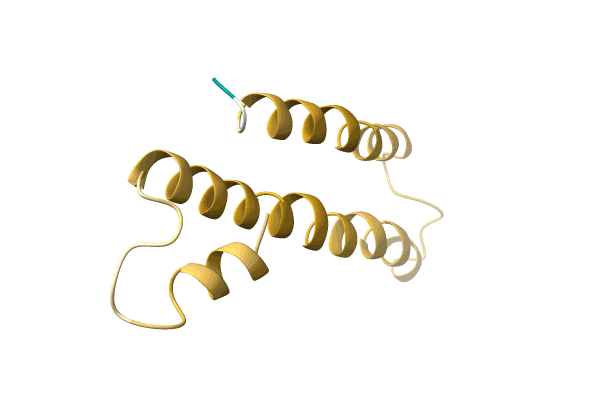 AF-A0A0R6VS63-F1 image