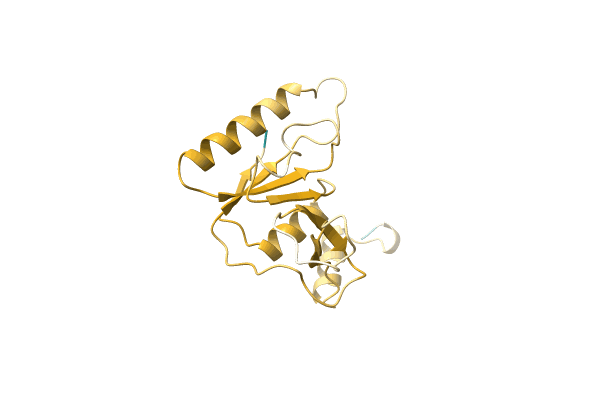 AF-A0A0S2E9B6-F1 image