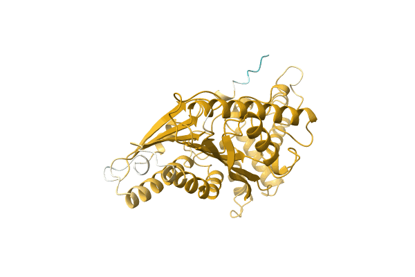 AF-A0A0S2PM82-F1 image