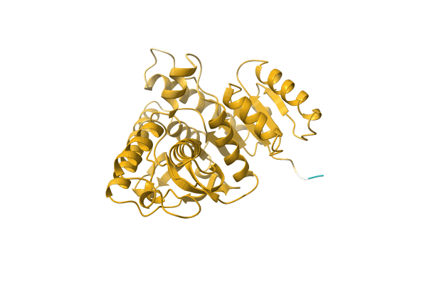 AF-A0A0S3QTC6-F1 image