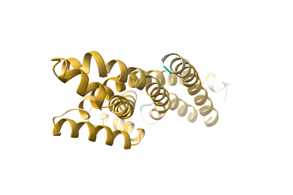 AF-A0A0S4NMF4-F1 image