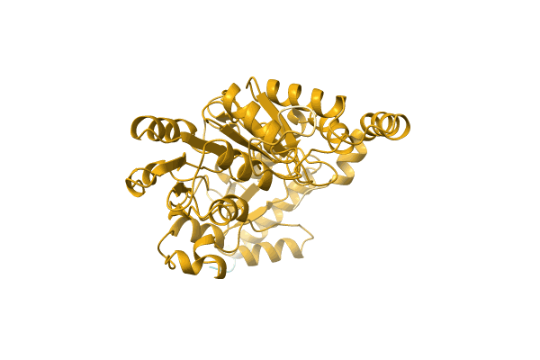 AF-A0A0S4PBP8-F1 image