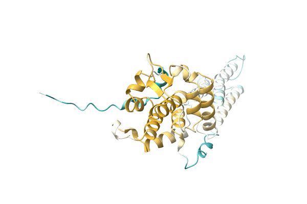 AF-A0A0T1Q7H6-F1 image