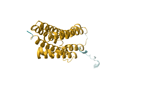 AF-A0A0T1QAG3-F1 image