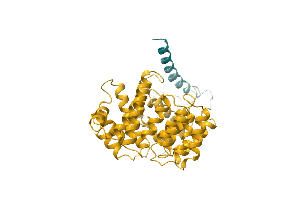 AF-A0A0T1QAL2-F1 image