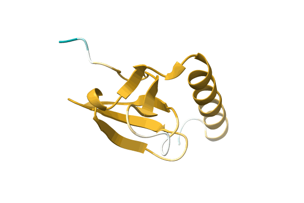 AF-A0A0T1QAU4-F1 image