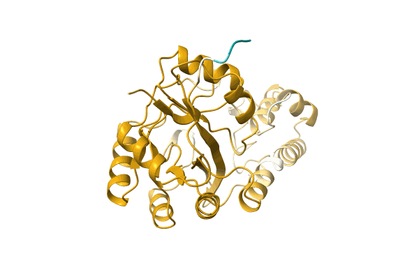 AF-A0A0T1QAV5-F1 image