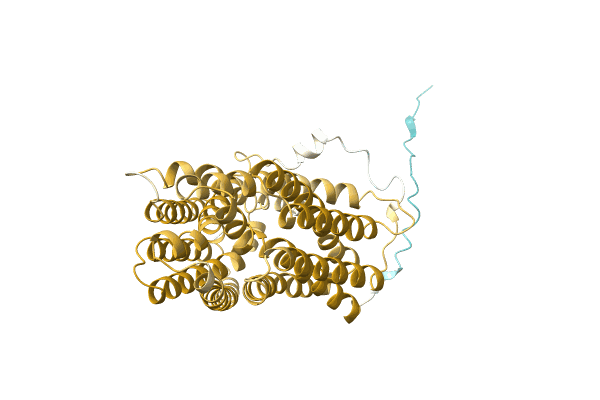 AF-A0A0T1QBC5-F1 image