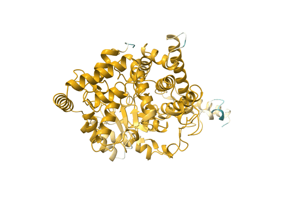 AF-A0A0T1QBP6-F1 image