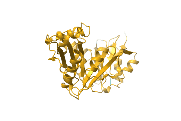 AF-A0A0T1SBT9-F1 image