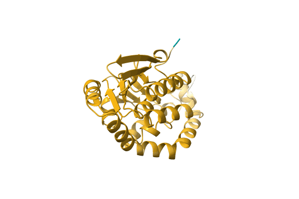 AF-A0A0T1SST5-F1 image