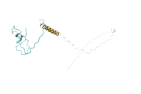 AF-A0A0T1WK13-F1 image