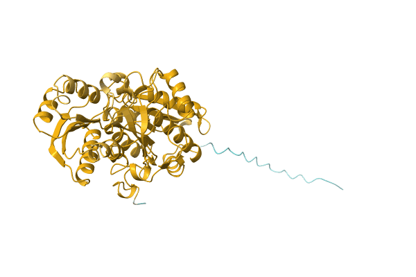 AF-A0A0T1WQQ2-F1 image