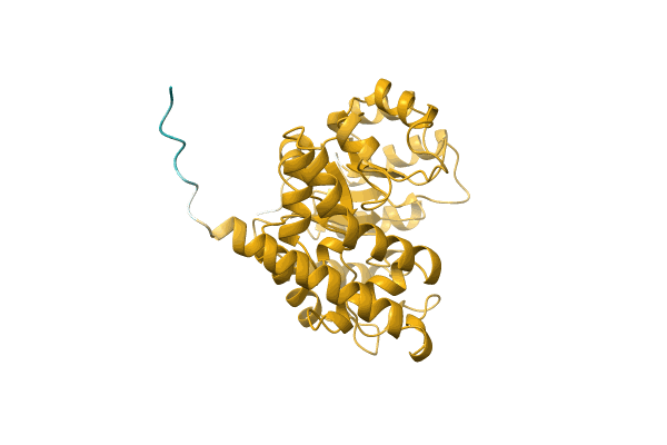 AF-A0A0T1WRH7-F1 image