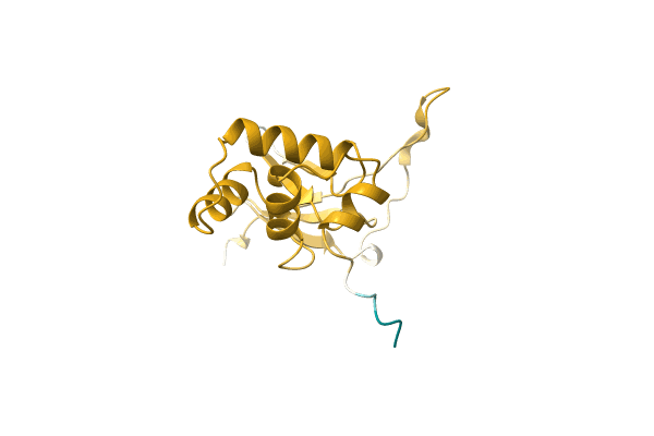 AF-A0A0T1WRJ8-F1 image