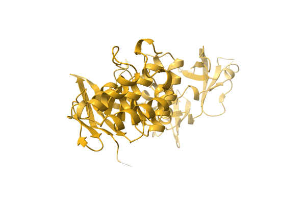 AF-A0A0T1WRS2-F1 image