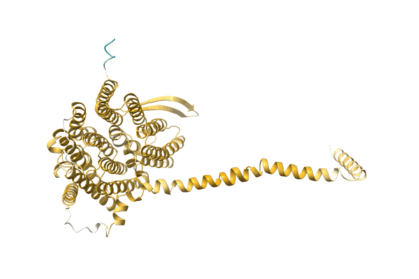 AF-A0A0U2DBE3-F1 image
