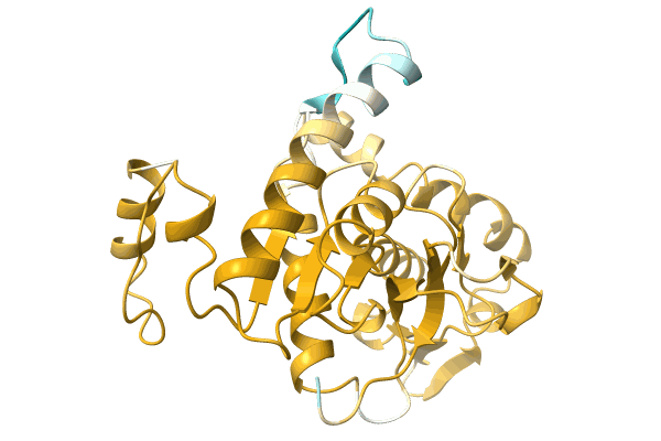 AF-A0A0U2KS20-F1 image