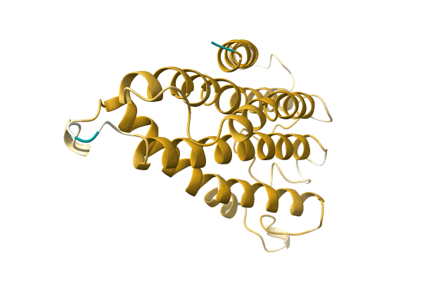 AF-A0A0X8E7W7-F1 image