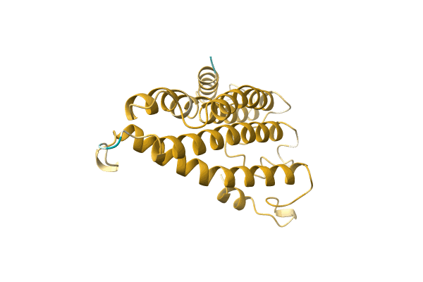 AF-A0A0X9M9B7-F1 image