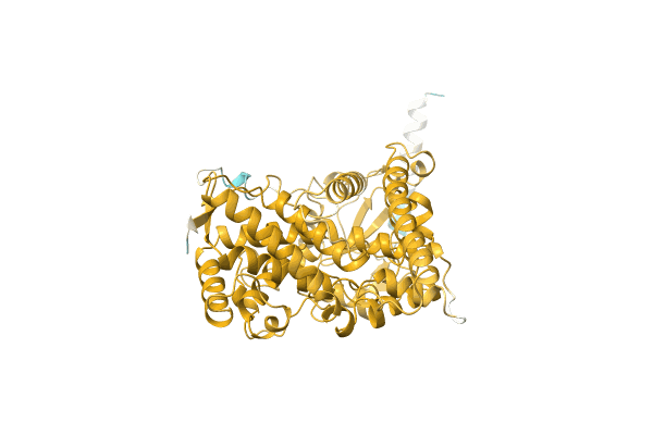 AF-A0A0Y0GRS3-F1 image