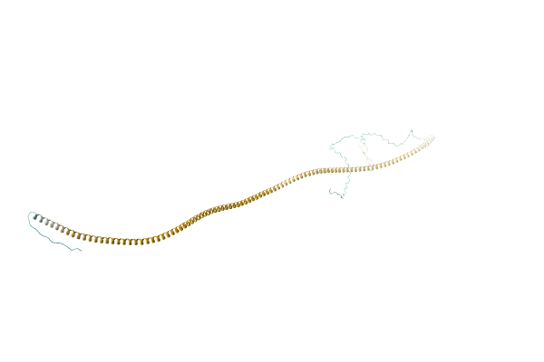 AF-A0A125S9M6-F1 image