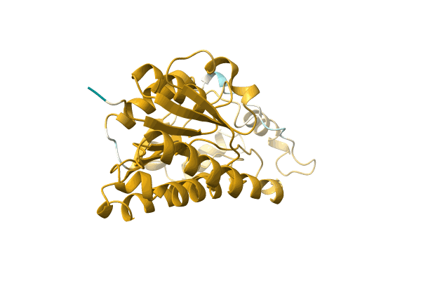 AF-A0A140JWS5-F1 image