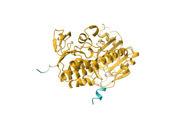 AF-A0A142C7A0-F1 image