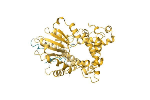 AF-A0A142C7A1-F1 image