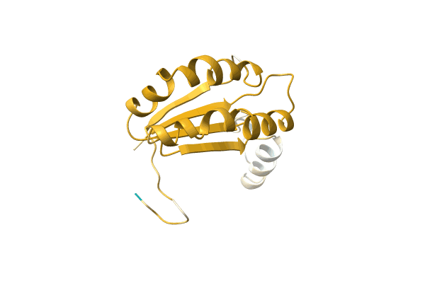 AF-A0A142C7A2-F1 image