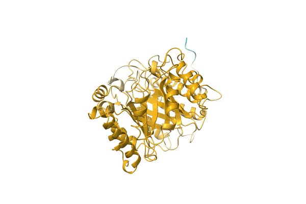 AF-A0A142C7A4-F1 image