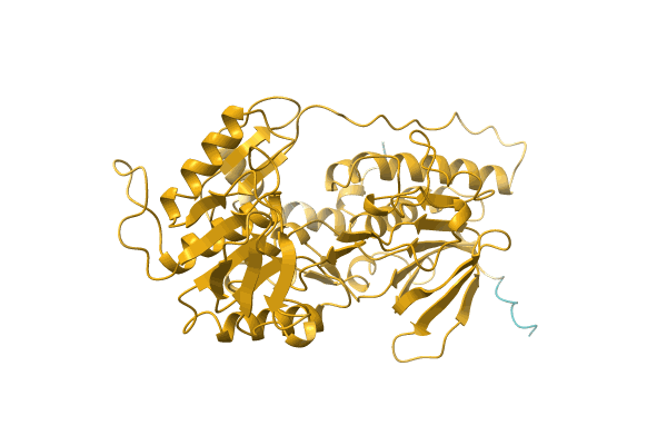 AF-A0A142C7A5-F1 image