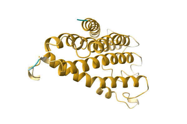 AF-A0A142IAN2-F1 image