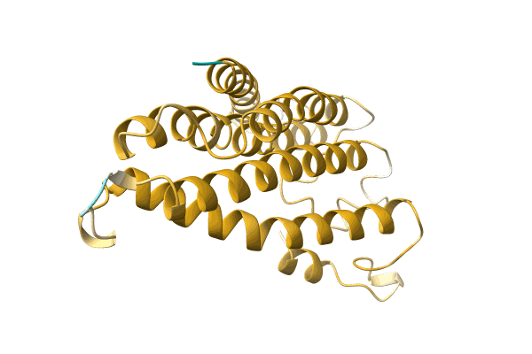 AF-A0A142IAS8-F1 image