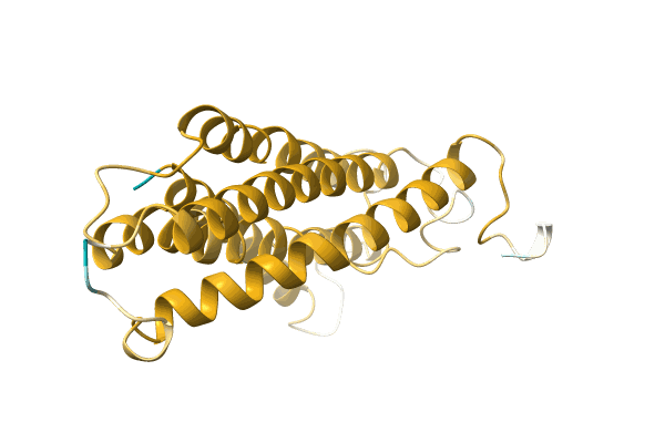 AF-A0A142IB11-F1 image