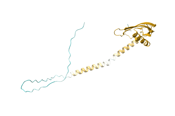 AF-A0A142IGX9-F1 image