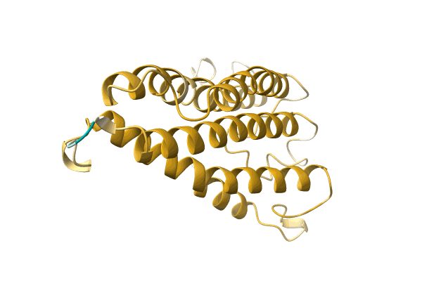 AF-A0A142LPH4-F1 image