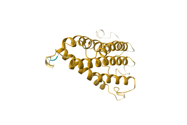 AF-A0A142LQ18-F1 image