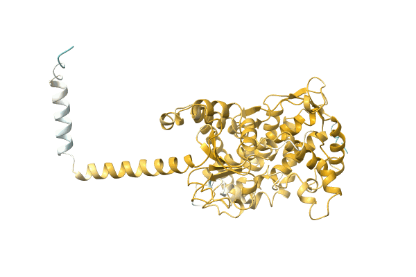 AF-A0A144KPK9-F1 image