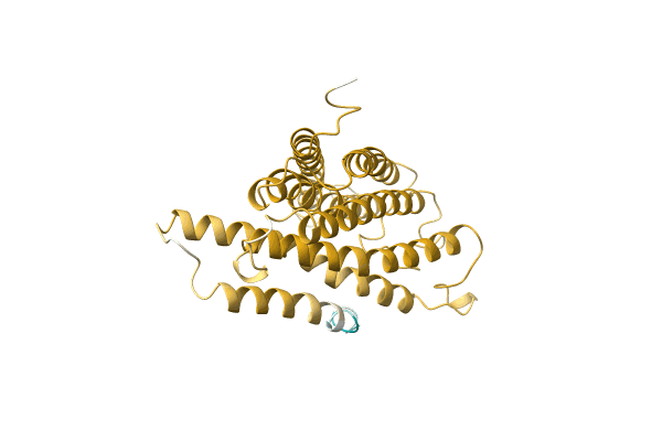 AF-A0A146BDS8-F1 image