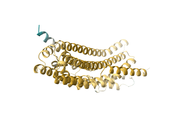 AF-A0A146JVM6-F1 image