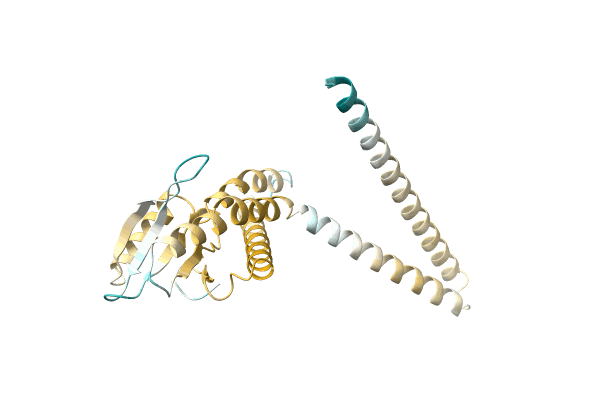 AF-A0A150XSR0-F1 image