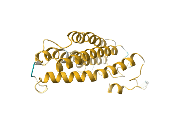 AF-A0A161CKE9-F1 image