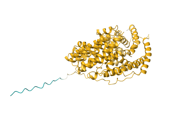 AF-A0A167V661-F1 image